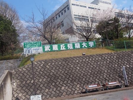 武蔵丘短期大学の画像