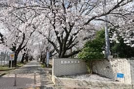 中下条公園の画像