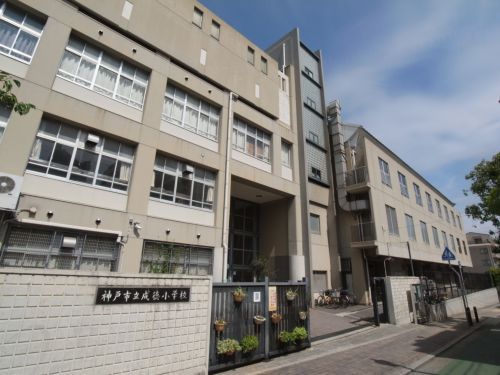 神戸市立 成徳小学校の画像