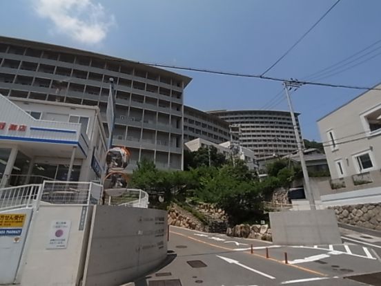 神戸海星病院の画像