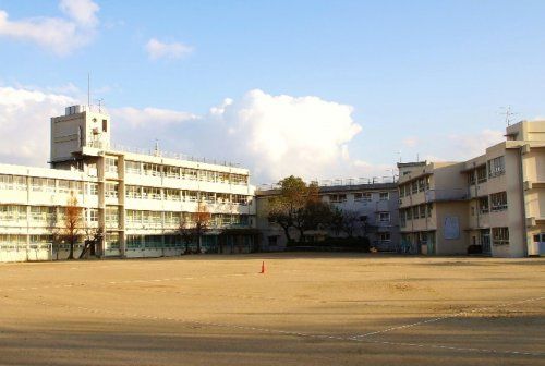 深井小学校の画像