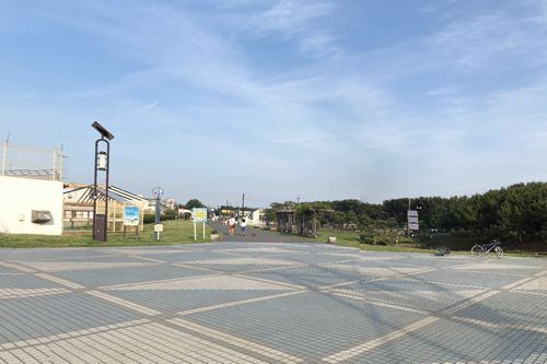 辻堂海浜公園の画像