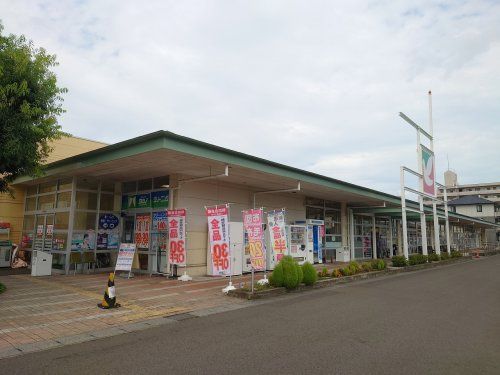 ヨークベニマル 柳生店の画像