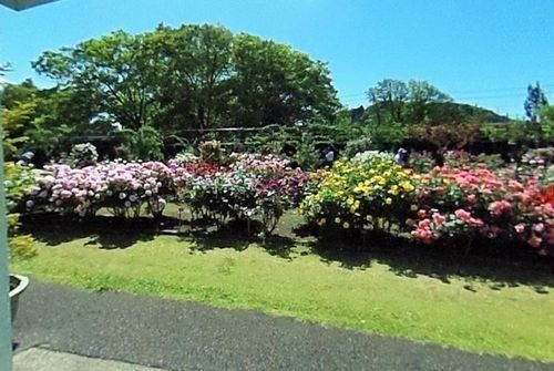 神奈川県立フラワーセンター大船植物園の画像