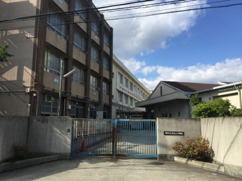 堺市立向丘小学校の画像