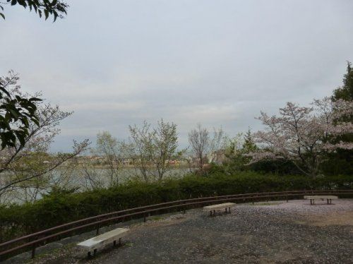 寺池公園の画像