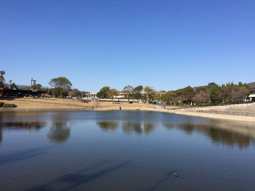 鴻ノ池運動公園の画像