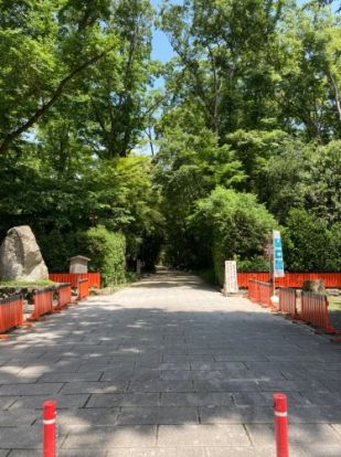 賀茂御祖神社(下鴨神社)の画像