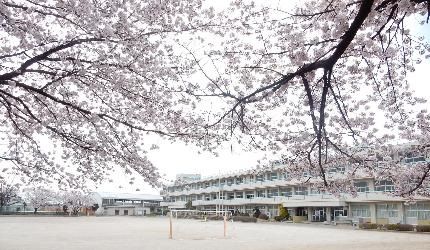 加須市立騎西小学校の画像