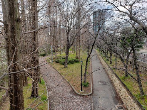 毛馬桜之宮公園の画像