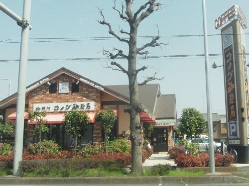 コメダ珈琲店 平塚田村店の画像