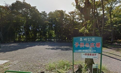 森林公園こどもの広場の画像