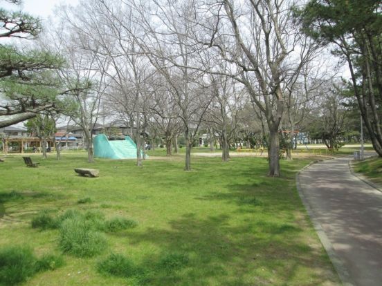 望海浜公園の画像