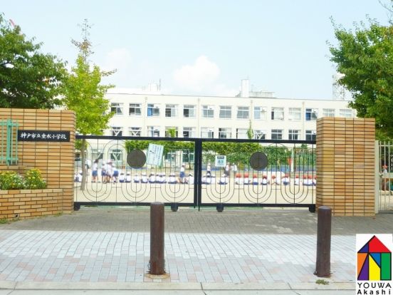 神戸市立 垂水小学校の画像