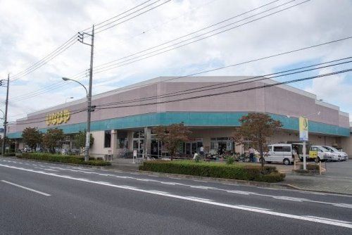 いなげや あきる野雨間店の画像