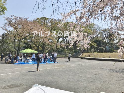 掃部山公園の画像