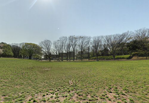 茅ヶ崎市 中央公園の画像