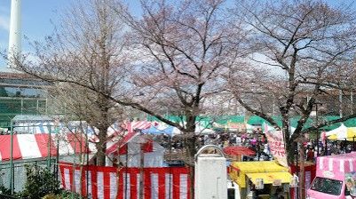 田道広場公園の画像