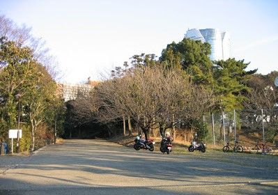 東京都立青山公園南地区の画像