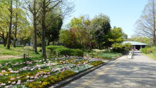 上坂部西公園 (尼崎市都市緑化植物園)の画像