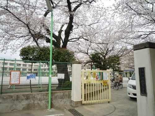 世田谷区立経堂小学校の画像