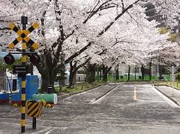 根岸交通公園の画像