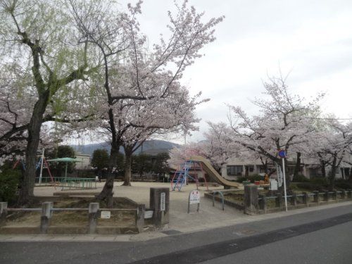  柴山西児童公園の画像