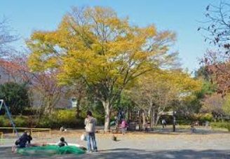 西が岡公園の画像