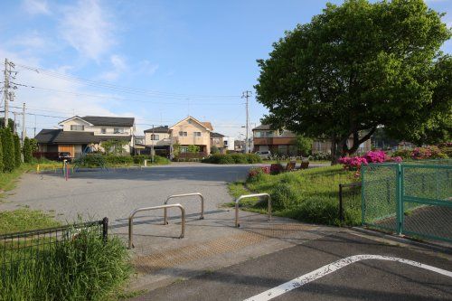  楢原桑の実公園の画像