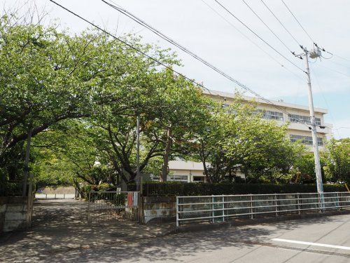 鎌倉市立七里が浜小学校の画像