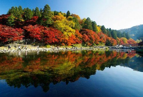 雲場池の画像