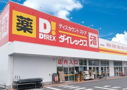 ダイレックス 沖浜店の画像