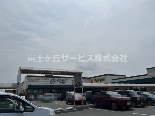 遠鉄ストア 浅羽店の画像