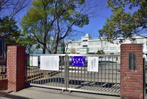 江戸川区立小岩小学校の画像