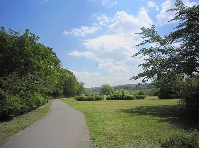 水鳥公園の画像