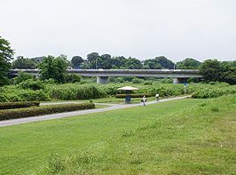 多摩川中央公園の画像