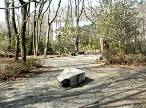 多摩川緑地福生加美上水公園の画像