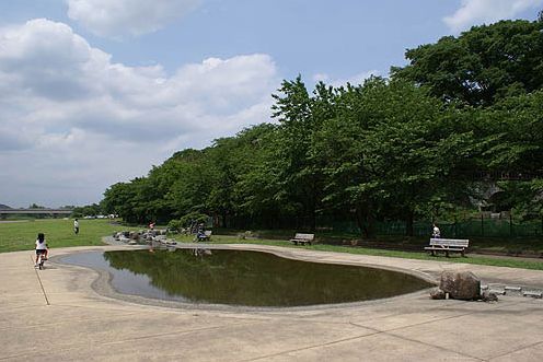 多摩川緑地福生南公園の画像