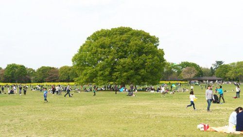 国営昭和記念公園の画像