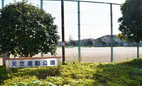 天竺運動公園の画像