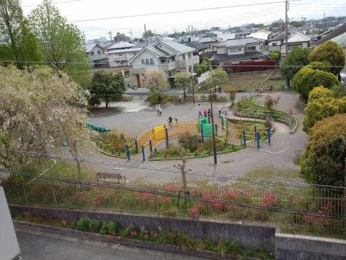 あけぼの杉児童公園の画像