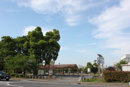 大洲防災公園の画像