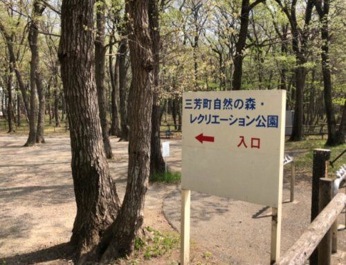 三芳町自然の森レクリエーション公園の画像