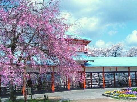 長野公園（奥河内さくら公園）の画像