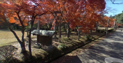 旭ケ岡公園の画像