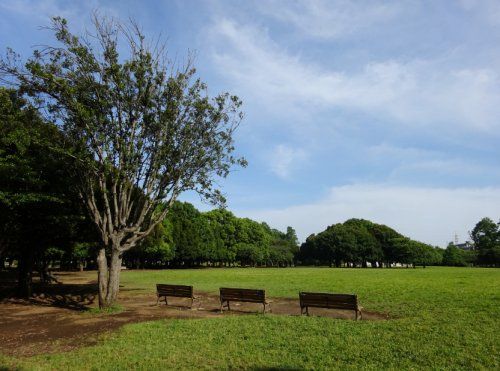 岸根公園の画像