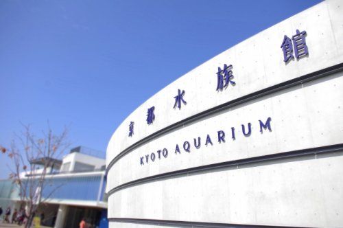 京都水族館の画像