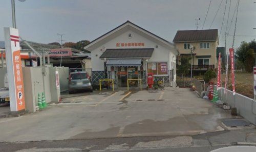 ファミリーマート荒尾野原店の画像