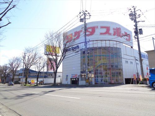タケダスポーツ 大館店の画像