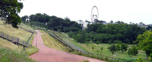 都立狭山公園の画像